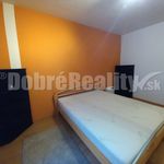 Rent 2 bedroom apartment of 43 m² in Číhošť