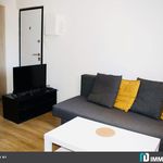 Rent 1 bedroom apartment of 16 m² in Dunkirk