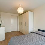 Huur 3 slaapkamer appartement van 113 m² in Den Haag