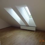 Rent 2 bedroom apartment of 57 m² in Albrechtsberg