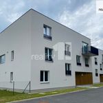 Rent 1 bedroom apartment of 30 m² in Plzeň