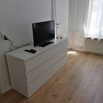 Miete 1 Schlafzimmer wohnung von 25 m² in Braunschweig