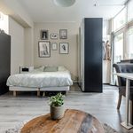 Rent 2 bedroom apartment of 30 m² in Haarlem