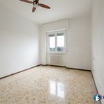 Rent 3 bedroom apartment of 95 m² in Cornaredo