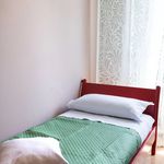 Rent 4 bedroom apartment in Bologna
