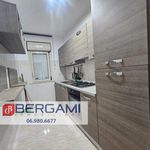 Rent 5 bedroom apartment of 120 m² in Anzio