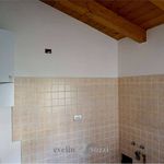 Rent 3 bedroom apartment of 80 m² in Clusone