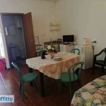 Affitto 1 camera appartamento di 35 m² in Sarzana