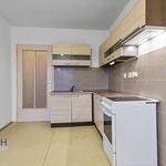 Rent 1 bedroom apartment of 62 m² in Hronov