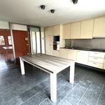 Rent 3 bedroom apartment of 132 m² in Izegem