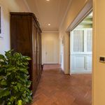 Rent 3 bedroom apartment of 110 m² in Florence