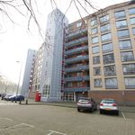 Rent 2 bedroom apartment of 105 m² in Amsterdam