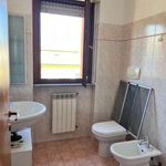 Rent 3 bedroom apartment of 85 m² in Cremona