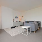 Rent 3 bedroom apartment of 70 m² in Groningen