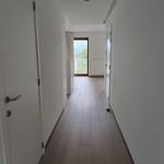 Rent 3 bedroom apartment of 140 m² in Waregem