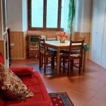 Rent 2 bedroom apartment of 35 m² in Abetone Cutigliano