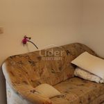 Najam 2 spavaće sobe stan od 58 m² u Primorsko-goranska