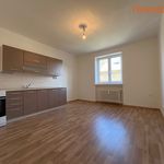 Rent 1 bedroom apartment of 39 m² in Havířov