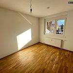 Rent 4 bedroom apartment of 104 m² in Knittelfeld