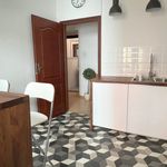 Rent 4 bedroom apartment of 120 m² in Krakow