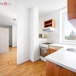 Rent 3 bedroom apartment of 49 m² in Plzeň
