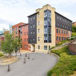 Rent 2 bedroom student apartment in Sheffield