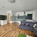 Rent 1 bedroom apartment of 40 m² in Jáchymov