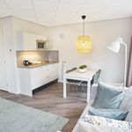 Rent 1 bedroom apartment of 25 m² in Badhoevedorp