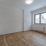 Rent 2 bedroom apartment of 60 m² in Litvinov