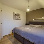 Rent 2 bedroom apartment of 126 m² in Pelt