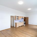 Rent 1 bedroom apartment of 47 m² in Chrudim
