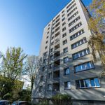 Rent 3 bedroom apartment of 60 m² in Bielsko-biała
