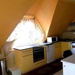Rent 3 bedroom apartment of 98 m² in Debrecen
