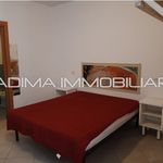 Rent 1 bedroom house of 40 m² in Roma