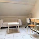  appartement avec 1 chambre(s) en location à Bures-sur-Yvette