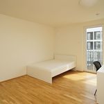 Miete 1 Schlafzimmer wohnung von 25 m² in Dresden