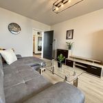 Rent 3 bedroom apartment of 78 m² in Poznań