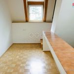 Rent 1 bedroom house of 350 m² in Praha
