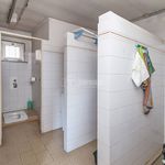 Rent 4 bedroom apartment of 200 m² in Bresso