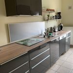Rent 2 bedroom apartment of 50 m² in Cottbus