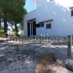Rent 1 bedroom house of 110 m² in Fasano