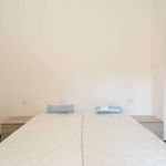 Rent a room in Sesto San Giovanni