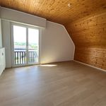 Rent 3 bedroom apartment of 100 m² in Mulhouse