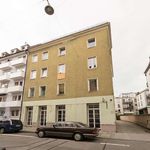 Rent a room of 67 m² in München
