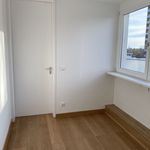 Rent 4 bedroom apartment of 123 m² in München