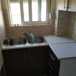 Rent 1 bedroom apartment of 50 m² in Municipal Unit of Rio