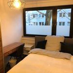 Rent a room of 120 m² in cologne