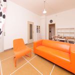 Rent a room of 153 m² in Bologna