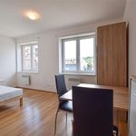 Rent 1 bedroom apartment of 17 m² in Brno