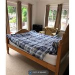 Rent 10 bedroom house in Nottingham